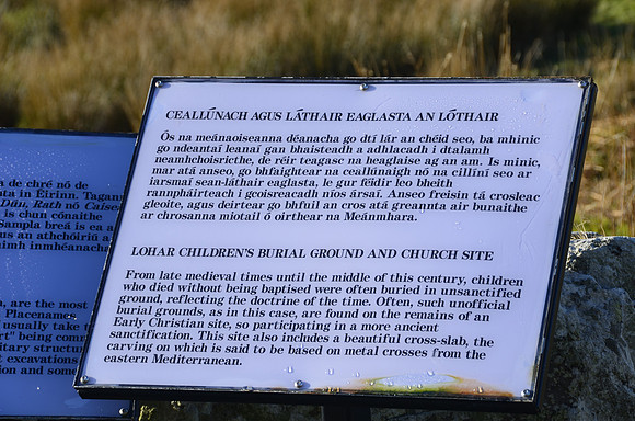 Seen on a hillwalk near Waterville