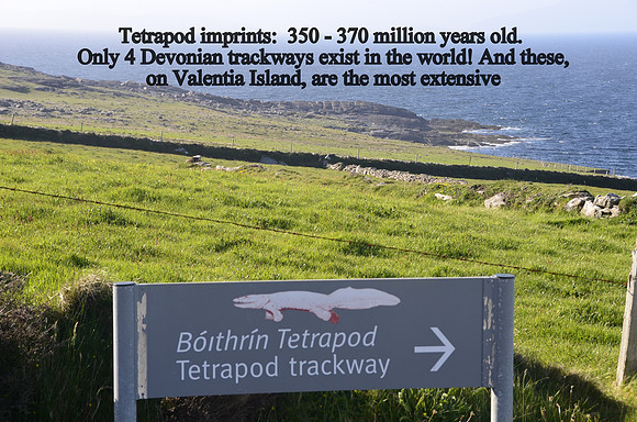 yes. tetrapod tracks! Valentia Is.