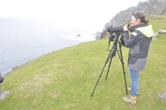 Lucy from Sea Synergy doing a whale watch!
