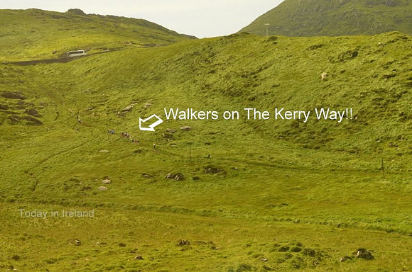 The Kerry Way walking to Waterville from Caherdaniel