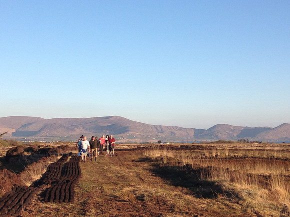 Reenrow loop walk over the bogs - near Skellig Loop road