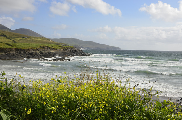 Skellig Loop road