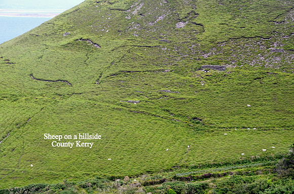 Taken from Ring of Kerry road