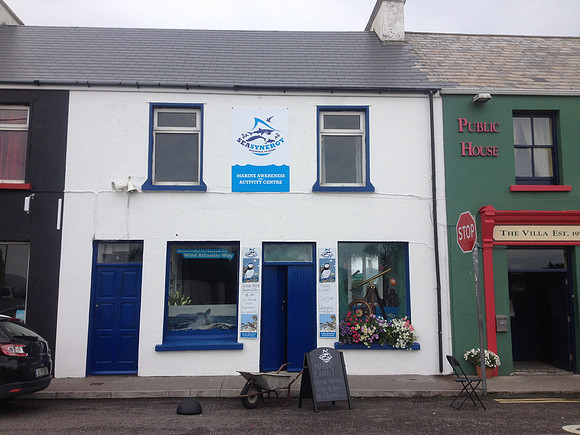and moreSeaSynergy in Waterville - beach walks, ocean display
