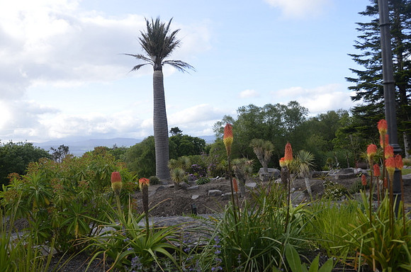 Kells Garden