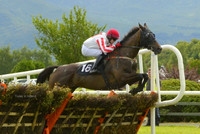Killarney Racing photos MED